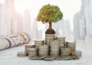 Steuern und Kapitalanlage - das ist für Anleger bei Gewinnen relevant