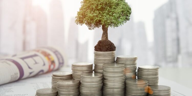 Steuern und Kapitalanlage - das ist für Anleger bei Gewinnen relevant