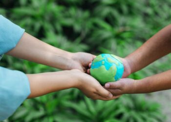 Novocarbo eröffnet größten Carbon Removal Park in Deutschland