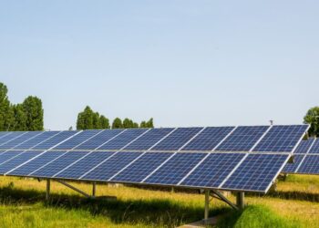 Start frei für Deutschlands größtes Agri-PV Projekt