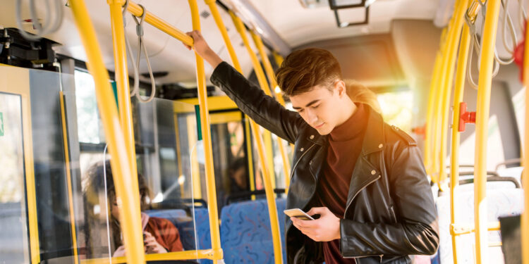 NVS Schwerin: ÖPNV-Infrastruktur und wirtschaftliche Bedeutung