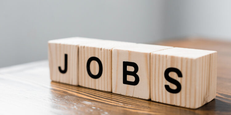 Jobs in Schwerin: Arbeitsmarktentwicklung und Zukunftschancen