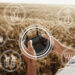 Digitalisierung in der Landwirtschaft