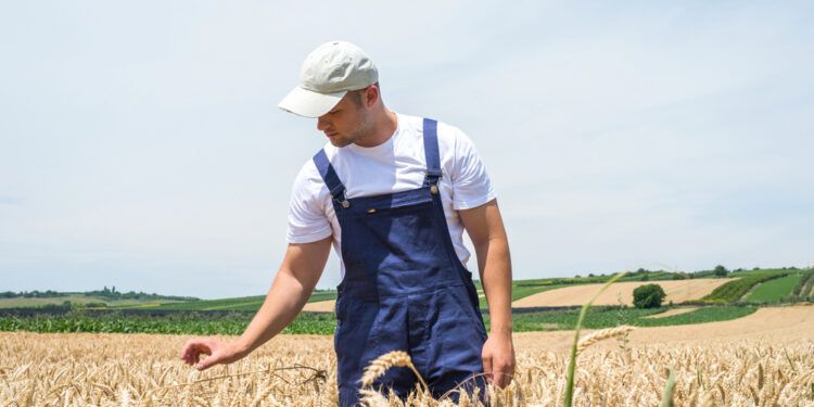 Neue Förderrichtlinien und Chancen für Landwirte