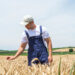 Neue Förderrichtlinien und Chancen für Landwirte
