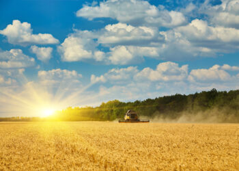 Nachwuchsförderung in der Landwirtschaft