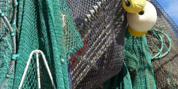 Neue Fangquoten und EU-Verordnungen