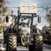 Proteste gegen Mercosur-Abkommen