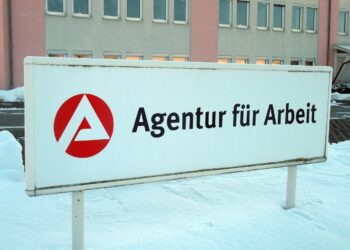 Neue Fachkräfte-Service-Zentrale Mecklenburg-Vorpommern