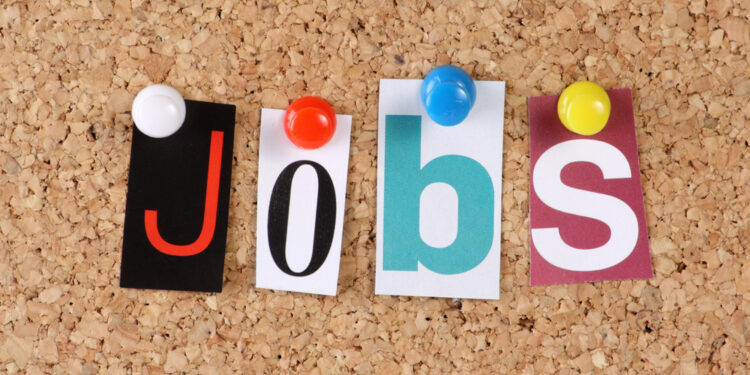 Gedämpfte Wirtschaftsstimmung im Landkreis Ludwigslust-Parchim: Unsicherheit bremst Investitionen