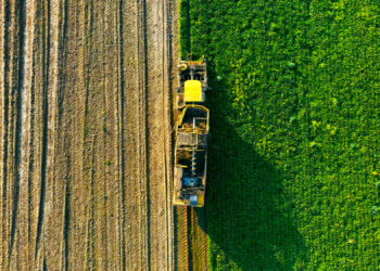 34. Mecklenburgische Landwirtschaftsausstellung präsentiert sich mit breitem Themenspektrum