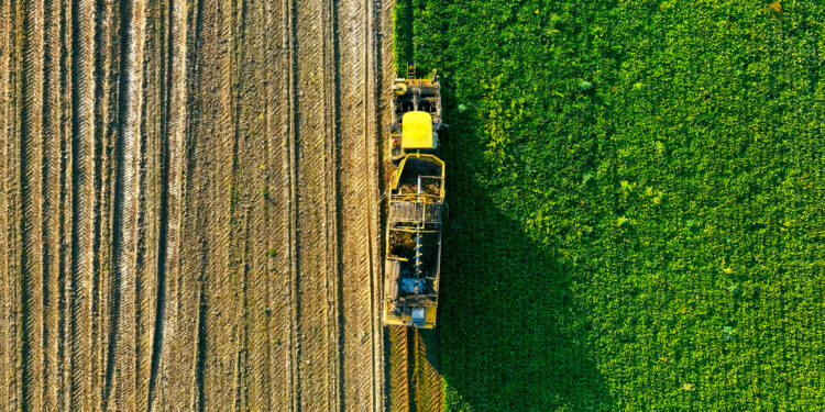 34. Mecklenburgische Landwirtschaftsausstellung präsentiert sich mit breitem Themenspektrum