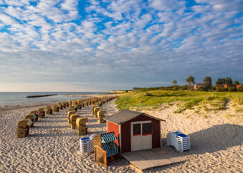 MV im Brennpunkt: Wie Megatrends und Energiepreise den Strukturwandel beschleunigen