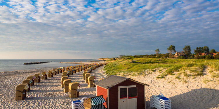 MV im Brennpunkt: Wie Megatrends und Energiepreise den Strukturwandel beschleunigen