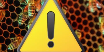 Ausbruch der Amerikanischen Faulbrut im Landkreis LUP