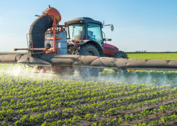 Backhaus trifft Junglandwirte: Zukunft der Landwirtschaft im Fokus