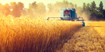 Sonder-AMK: Backhaus warnt vor Abbau der EU-Agrarpolitik