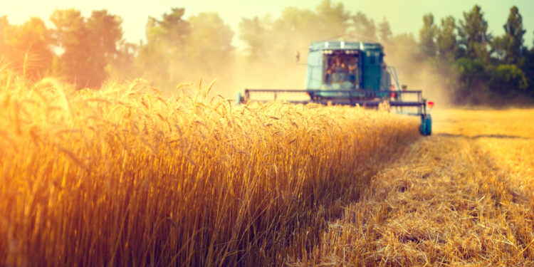 Sonder-AMK: Backhaus warnt vor Abbau der EU-Agrarpolitik