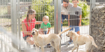 Land unterstützt Tierheime in MV mit 200.000 Euro