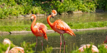 Schwesig: Zoos und Tierparks sind etwas für die ganze Familie