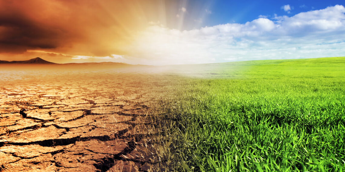 Backhaus: MV wird Klimaziele bis 2045 erreichen