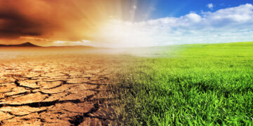 Backhaus: MV wird Klimaziele bis 2045 erreichen