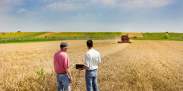 Backhaus: Bundeskanzler muss sich in Brüssel für starke Agrarpolitik einsetzen