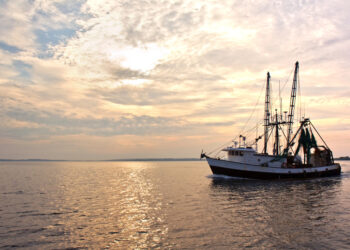 Ostseefangquoten: Minister Backhaus begrüßt stabile Bedingungen