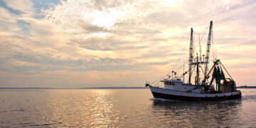 Ostseefangquoten: Minister Backhaus begrüßt stabile Bedingungen