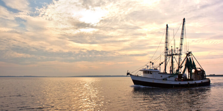 Ostseefangquoten: Minister Backhaus begrüßt stabile Bedingungen