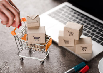 E-Commerce im ländlichen Raum: Neue Chancen für Händler in Mecklenburg-Vorpommern