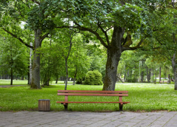 Holz oder Edelstahl? Kriterien für die Materialwahl in der urbanen Infrastruktur