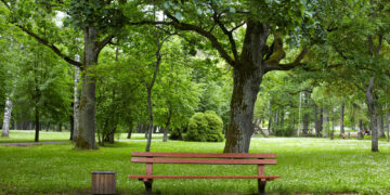 Holz oder Edelstahl? Kriterien für die Materialwahl in der urbanen Infrastruktur