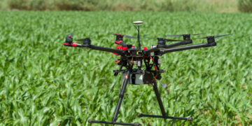 Wie Drohnen die Bestandskontrolle in der Landwirtschaft verbessern